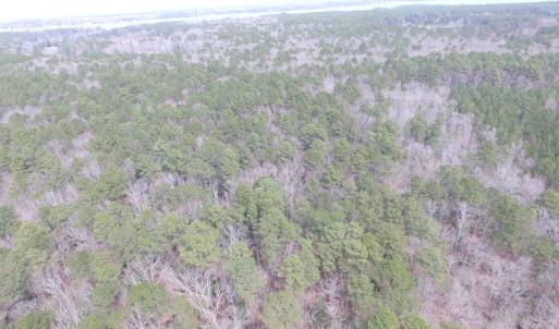 Photo of UNDER CONTRACT!  31 Acres of Hunting & Investment Land for Sale in Gloucester County VA!