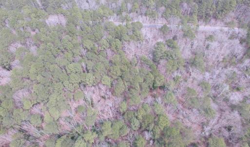 Photo of UNDER CONTRACT!  31 Acres of Hunting & Investment Land for Sale in Gloucester County VA!
