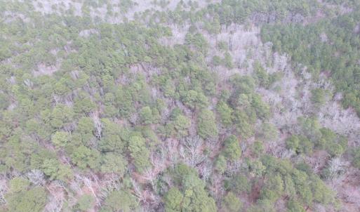Photo of UNDER CONTRACT!  31 Acres of Hunting & Investment Land for Sale in Gloucester County VA!