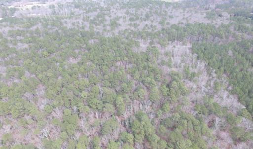 Photo of UNDER CONTRACT!  31 Acres of Hunting & Investment Land for Sale in Gloucester County VA!