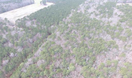 Photo of UNDER CONTRACT!  31 Acres of Hunting & Investment Land for Sale in Gloucester County VA!