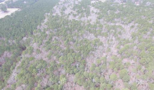 Photo of UNDER CONTRACT!  31 Acres of Hunting & Investment Land for Sale in Gloucester County VA!