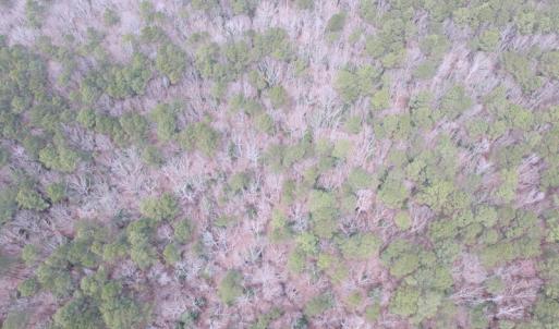 Photo of UNDER CONTRACT!  31 Acres of Hunting & Investment Land for Sale in Gloucester County VA!