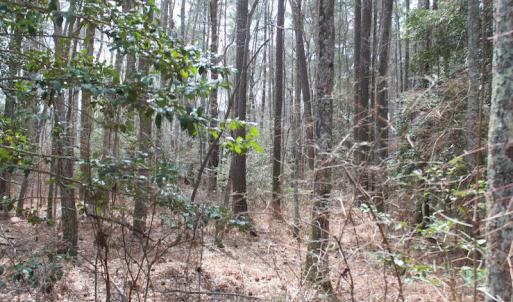 Photo of UNDER CONTRACT!  31 Acres of Hunting & Investment Land for Sale in Gloucester County VA!