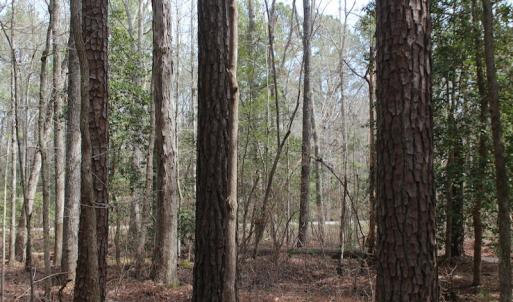 Photo of UNDER CONTRACT!  31 Acres of Hunting & Investment Land for Sale in Gloucester County VA!