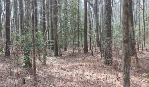 Photo of UNDER CONTRACT!  31 Acres of Hunting & Investment Land for Sale in Gloucester County VA!