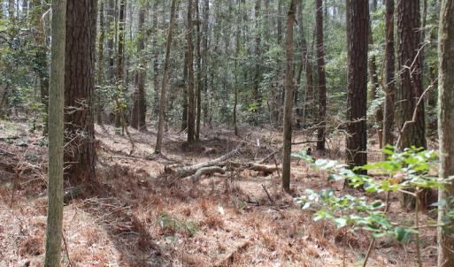 Photo of UNDER CONTRACT!  31 Acres of Hunting & Investment Land for Sale in Gloucester County VA!