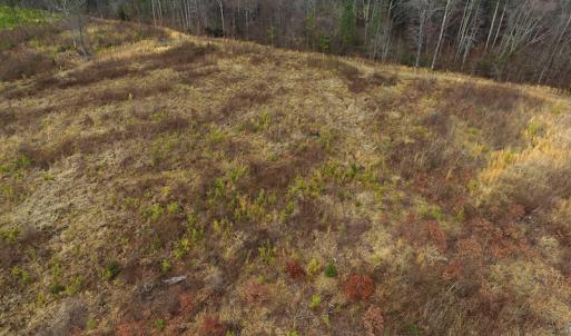 Photo of UNDER CONTRACT!  3.72 Acres of Rural Residential or Recreational Land For Sale in Dinwiddie County VA!