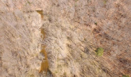 Photo of 72 Acres of Riverfront Pasture Land with Home For Sale in Buckingham County VA!