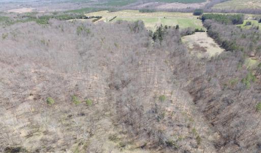 Photo of 72 Acres of Riverfront Pasture Land with Home For Sale in Buckingham County VA!