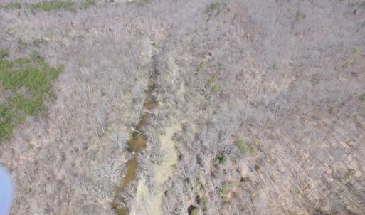 Photo of 72 Acres of Riverfront Pasture Land with Home For Sale in Buckingham County VA!