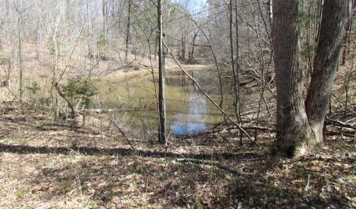 Photo of 72 Acres of Riverfront Pasture Land with Home For Sale in Buckingham County VA!