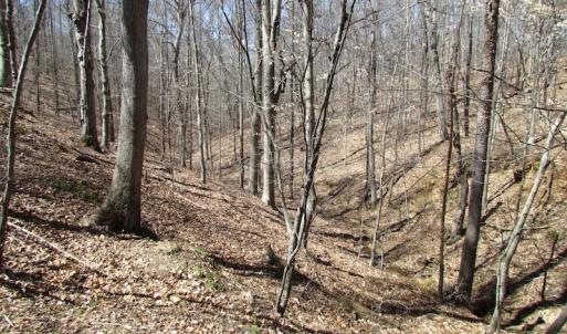 Photo of 72 Acres of Riverfront Pasture Land with Home For Sale in Buckingham County VA!