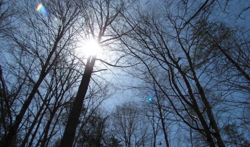 Photo of 72 Acres of Riverfront Pasture Land with Home For Sale in Buckingham County VA!
