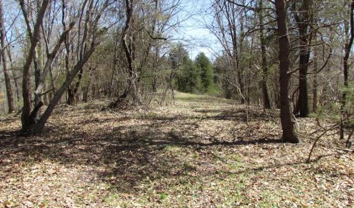 Photo of 72 Acres of Riverfront Pasture Land with Home For Sale in Buckingham County VA!