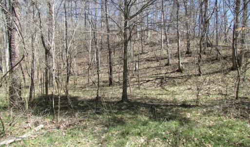 Photo of 72 Acres of Riverfront Pasture Land with Home For Sale in Buckingham County VA!