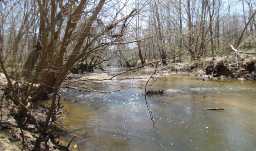 Photo of 72 Acres of Riverfront Pasture Land with Home For Sale in Buckingham County VA!