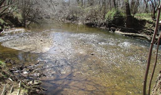 Photo of 72 Acres of Riverfront Pasture Land with Home For Sale in Buckingham County VA!