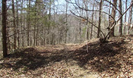 Photo of 72 Acres of Riverfront Pasture Land with Home For Sale in Buckingham County VA!