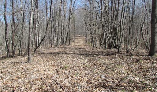 Photo of 72 Acres of Riverfront Pasture Land with Home For Sale in Buckingham County VA!