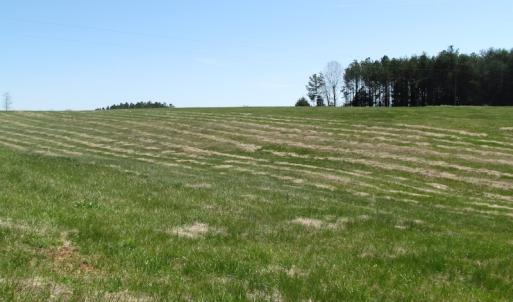 Photo of 72 Acres of Riverfront Pasture Land with Home For Sale in Buckingham County VA!
