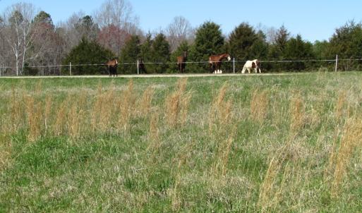 Photo of 72 Acres of Riverfront Pasture Land with Home For Sale in Buckingham County VA!