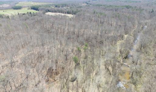 Photo of 72 Acres of Riverfront Pasture Land with Home For Sale in Buckingham County VA!