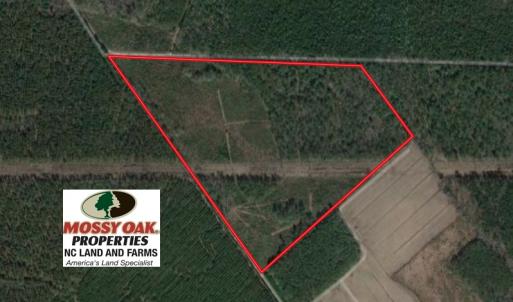 Photo of SOLD!  55.92 Acres of Timber and Hunting Land For Sale in Pamlico County NC!
