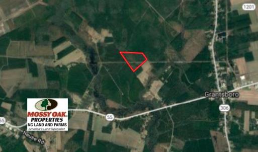 Photo of SOLD!  55.92 Acres of Timber and Hunting Land For Sale in Pamlico County NC!