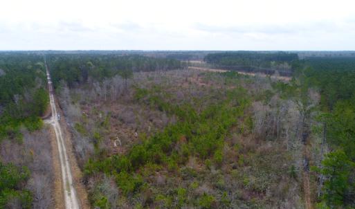 Photo of SOLD!  55.92 Acres of Timber and Hunting Land For Sale in Pamlico County NC!