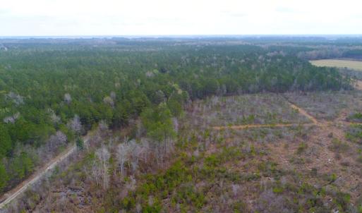 Photo of SOLD!  55.92 Acres of Timber and Hunting Land For Sale in Pamlico County NC!