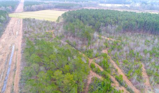 Photo of SOLD!  55.92 Acres of Timber and Hunting Land For Sale in Pamlico County NC!