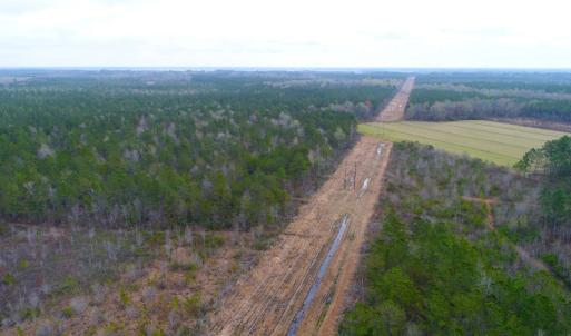 Photo of SOLD!  55.92 Acres of Timber and Hunting Land For Sale in Pamlico County NC!