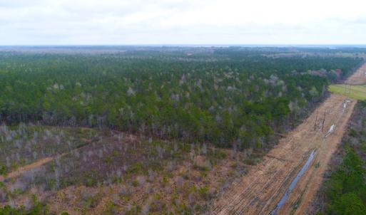 Photo of SOLD!  55.92 Acres of Timber and Hunting Land For Sale in Pamlico County NC!
