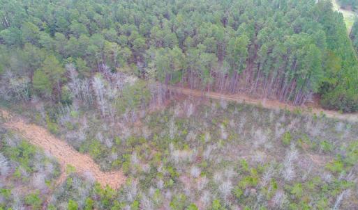 Photo of SOLD!  55.92 Acres of Timber and Hunting Land For Sale in Pamlico County NC!