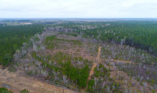 Photo of SOLD!  55.92 Acres of Timber and Hunting Land For Sale in Pamlico County NC!