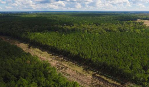 Photo of SOLD!  55.92 Acres of Timber and Hunting Land For Sale in Pamlico County NC!