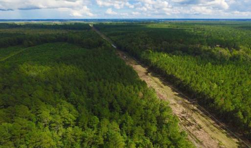 Photo of SOLD!  55.92 Acres of Timber and Hunting Land For Sale in Pamlico County NC!