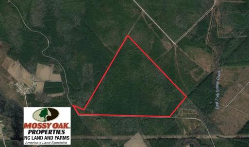 Photo of UNDER CONTRACT!  189.85 Acres of Timber and Hunting Land For Sale in Pamlico County NC!
