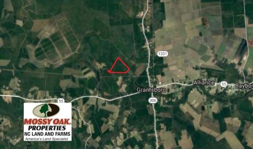 Photo of UNDER CONTRACT!  189.85 Acres of Timber and Hunting Land For Sale in Pamlico County NC!