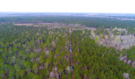 Photo of UNDER CONTRACT!  189.85 Acres of Timber and Hunting Land For Sale in Pamlico County NC!