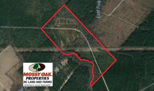 Photo of SOLD!  75.9 Acres of Timber and Hunting Land For Sale in Pamlico County NC!