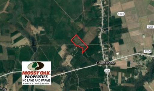 Photo of SOLD!  75.9 Acres of Timber and Hunting Land For Sale in Pamlico County NC!
