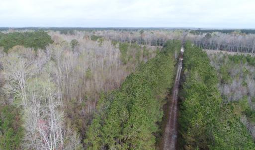 Photo of SOLD!  75.9 Acres of Timber and Hunting Land For Sale in Pamlico County NC!