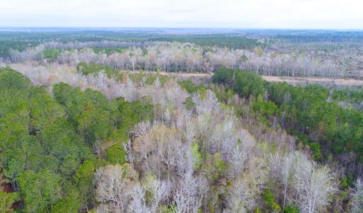 Photo of SOLD!  75.9 Acres of Timber and Hunting Land For Sale in Pamlico County NC!