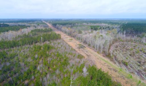 Photo of SOLD!  75.9 Acres of Timber and Hunting Land For Sale in Pamlico County NC!