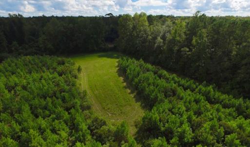 Photo of SOLD!  75.9 Acres of Timber and Hunting Land For Sale in Pamlico County NC!