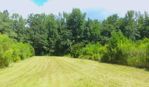 Photo of SOLD!  75.9 Acres of Timber and Hunting Land For Sale in Pamlico County NC!
