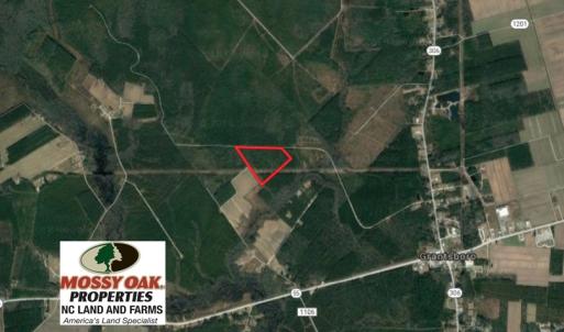 Photo of UNDER CONTRACT!  34 Acres of Timber and Hunting Land For Sale in Pamlico County NC!