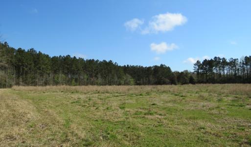 Photo of UNDER CONTRACT!  138 +/- Acres of Farm and Timber Land For Sale in Brunswick County NC!